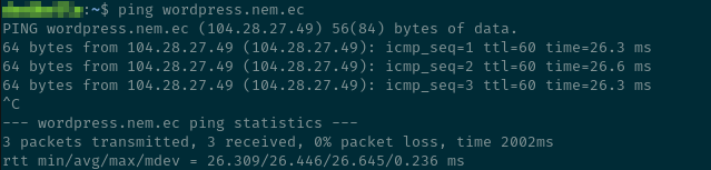 ping command output showing IP